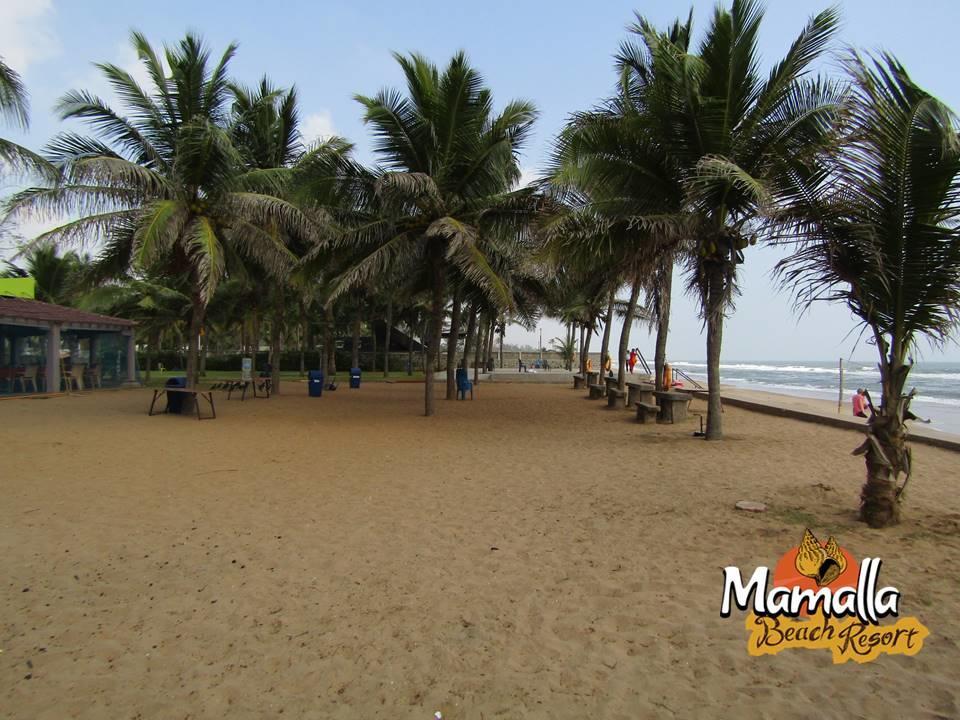 Mamalla Beach Resort Mahabalipuram Εξωτερικό φωτογραφία